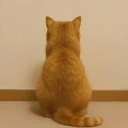 Tac
