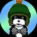 Coin image for GmcjrrHrJ9v2dAYzPYVFBm2CrwLbX2ZvYzJC8Khg9E13