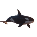 Coin image for Gn4CxKzRUQ7tu4o7YzVEsSdzr5Mfn6CcrGSCeywqwave