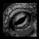 OCTO