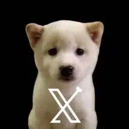 Coin image for GwKA3nM7xyXs3UVHXuPyHVaByj3B5Ftv5PxHtVDVshpv