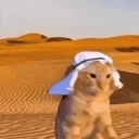 inshallah