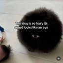Coin image for GyYUzBaCyq6sjTZshShTrpCEr8tXAfz7KTUcBT2d9gag