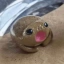 Coin image for HAKWDR85nNbf7gFdDGMsYm9HuAFagQn41CKEeFPj2Fr