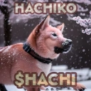 Coin image for HAchgdhsPRicRTEKZkNH1tcoaAs8gJk1rrJzjA7s5KdN
