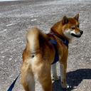 Coin image for HAiWgBYW1nu6sq9dVAnzEarekG7WZNctRTrsMjwKdoge