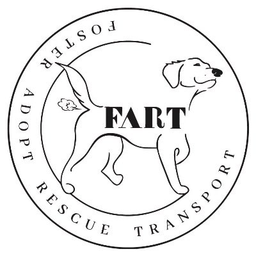 Coin image for HDfNyFQZzAXG5c1qSCAJp8fmLYkKZtLqxGaEA2EUpump