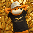 Coin image for HDjrBviYs64tBp8QjEdKdCoTN7rttp8YEWL8w39Ybonk