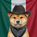 Coin image for HMYgkAkBEMrXS93h5ttijCQCfDFjEqVKtcwn5htALBbw