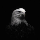 Coin image for HTdNcfxDydWkY5w8DLzzNLhrZpocRDVyygqqMfWfEZ8L