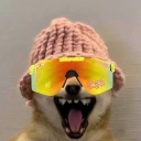 Coin image for HVsrBzcgtq7AoPkJxWVXJurubG9akgJPqpoog4dvxymz