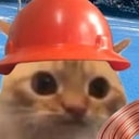 COPCAT