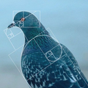Coin image for Hq3BV8fbxYZcAAkP3d5ZeGSDUN9bFzSqqGJu8U8iSqtn