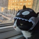 orcat