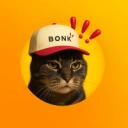 Coin image for HspVgU8thwGxAUBwhXChPU83qJpH5oXxvA3LiMTtbonk