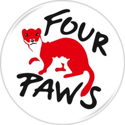 Coin image for J84mWjxcaccRsWQHbKb1WpGNpad9hJxay5Ftg2pApump