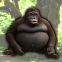 Coin image for JEGZYcWErUiGk85mzUibHNXUpprcuFtcbvqNLvuAbonk