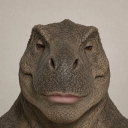 Coin image for LdxnwoyqTjptVpbikmhFErQLNjjMpbnfUiccCMcCET4