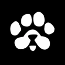 Coin image for PAWSZCrtS9F8aJ6vnkFe1wz6dZDCY7doVHzdHGThswH