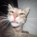 Coin image for QBHfcFDHfHj8qKPwEbv4gb2irQugJrhfW9ddxwgboop