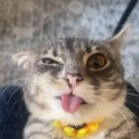 Coin image for QLpiPwAhnLrtinX9smtkZUsBkiZfNRvoV4A8vJxboop