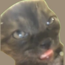 Coin image for SRNawpJKCpDPLzAweScNWfeBmR69r6eQHptuhFQex1P