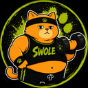 Coin image for SWrMW8Qmaonojt85XgpefVGrQLRUUjhYF3w3UeeNcat
