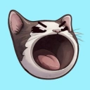 Coin image for SYwRTgHVWemPDgutg2qz4LyMXkk9HXGBVvTaNBGpump