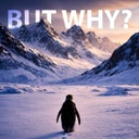 Coin image for WHYdudWjJHzcnU4MbNWgA94JyNCx6EqNNrLoebLykQg