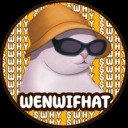 Coin image for WHYoaBumcmxCqw38y2mjs4cVkCBgwiDizbMVvcejmGT