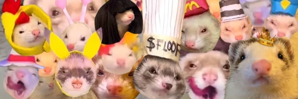 Coin image for X3rigWZSJhEE5DCQVWhnEChpWkJyHfidwXUSQPBpump