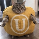 ULCAT