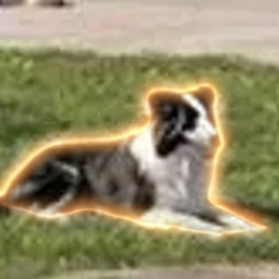 Coin image for Z6tA32YDHVbJa9FFjzoSKLazbweSbeUWvrDiGatS4hc