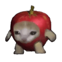 Coin image for acatzTjUeHDT3SoufN6NMxGUmBFtoqFHnFwusdw8kYX