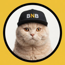 BNBCAT