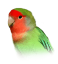 Coin image for e3M2Ub6AemuDjUzZXx9xD1zMwte69xWZzZatuhTTVQW