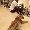 Tiglets