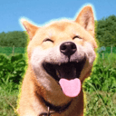 Coin image for maru4DtHRrPytGBgRk81qBLby8f72t23u4Xi3EgPPgJ