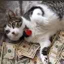 Coin image for poNAgVhkzoUKXqC5Mp3DsmVahZgE3tQpMq3nUCCxmas