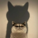 inner demon