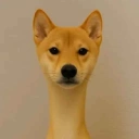 Coin image for u8ahAMGnAmmciyoENbgmynSvpLFApqpg3iWgXkHbonk