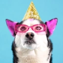 Coin image for woLfjy1RzfvjLNC1AEEqafx1Q3bPDUU3QW6kmBYQjP4
