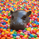 Coin image for wwzqJcBxRUDfSZQQv3R4WckkNzpSFjNHkRuzZFcJJZt