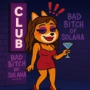 Coin image for y19kKScyuMhwbgkaaHMMnbqXqubyLk2F1AgdXidbonk
