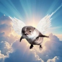 Coin image for zzzCAuojhwY66B4TnVRou6nMS8hMctpQjtHGbumDWDx