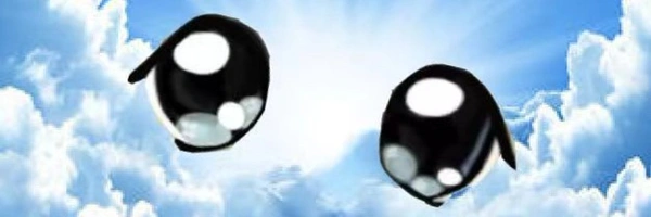 Milady Cult Coin Banner