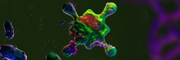 BIO banner