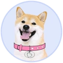 DOGEGF