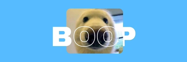 Boop Banner