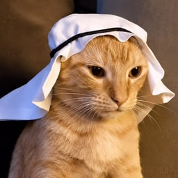 Crude Cat